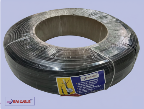 Two Pair CAT Five Cable