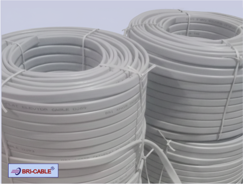 Flat CAT Six Travelling Cable